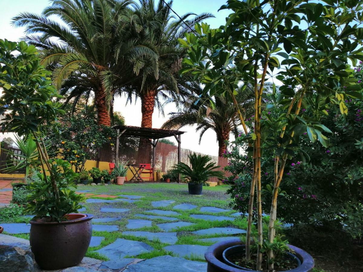 Vivelorural Casa La Cuevita, Santa Brigida Extérieur photo